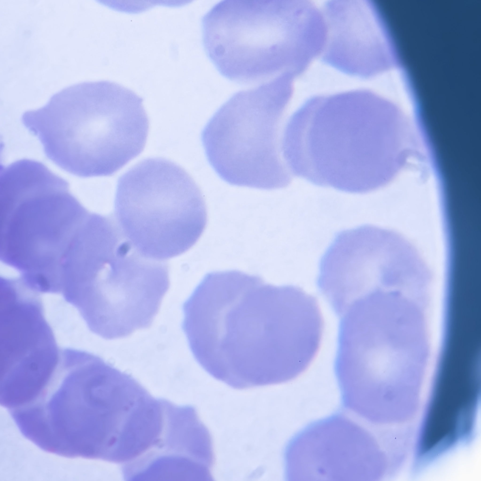 Supernatural Crème Cleanser